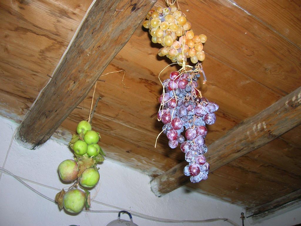 Ferienwohnung Serranello Azienda Agricola Bono  Exterior foto
